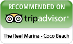 TripAdvisor ang coco