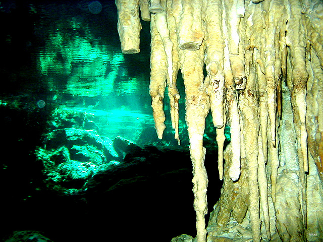 cenote6