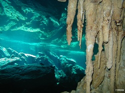 image cenote3